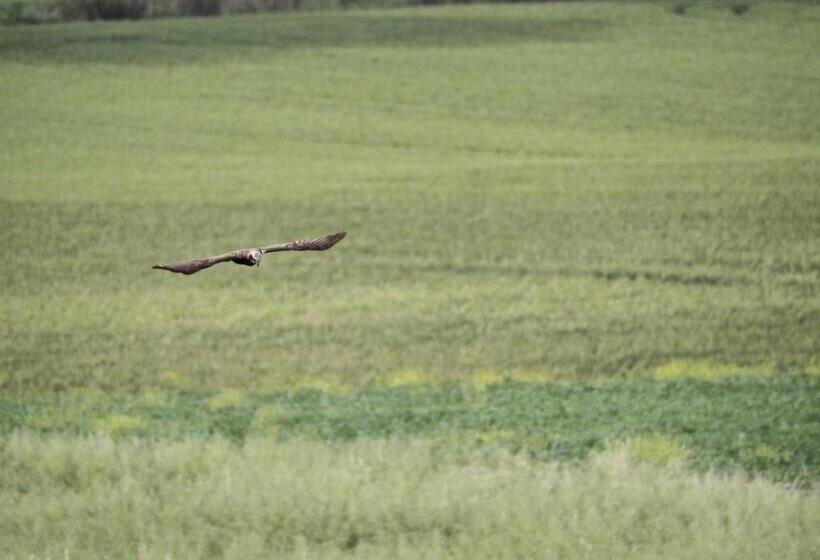 فندق Agriturismo Bio Verde Armonia
