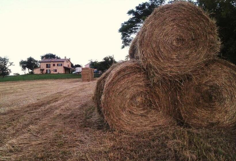 فندق Agriturismo Bio Verde Armonia