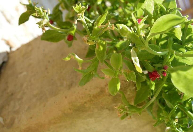 호텔 Agriturismo Casa Del Peperoncino