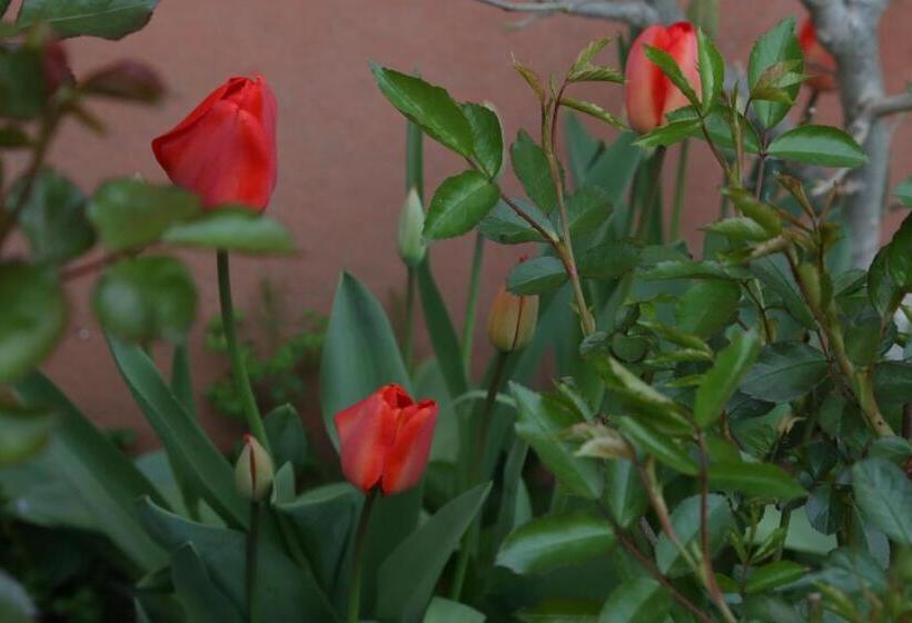 호텔 Agriturismo Cascina Della Fontana