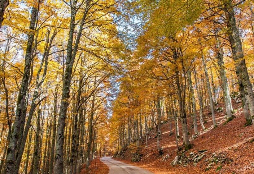 בית מלון כפרי Agriturismo Di Charme Erbadoro