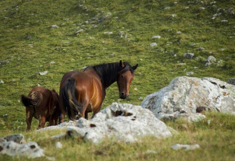 בית מלון כפרי Agriturismo Di Charme Erbadoro