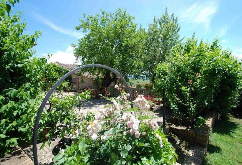 בית מלון כפרי Agriturismo Etrusco