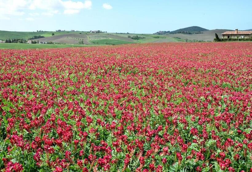 Отель Agriturismo L Impero