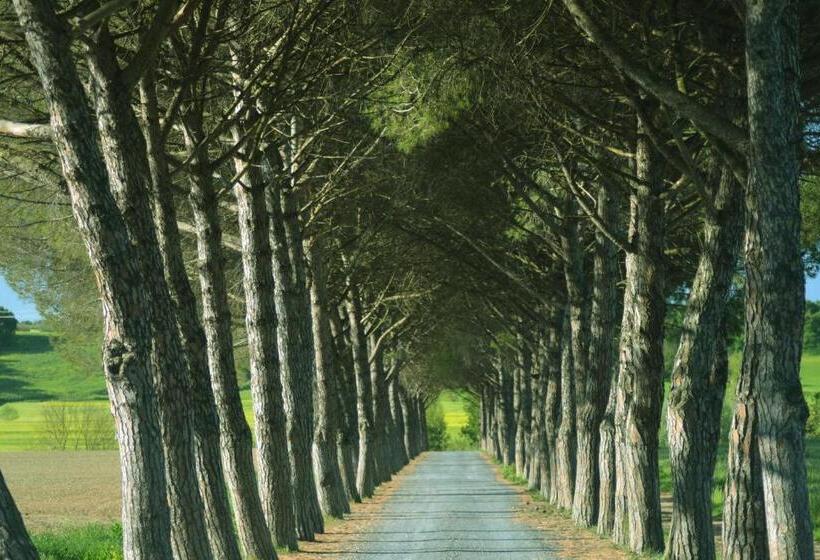 Отель Agriturismo L Impero