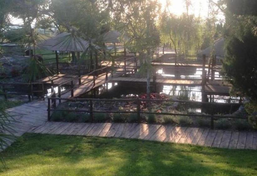 호텔 Agriturismo La Collina