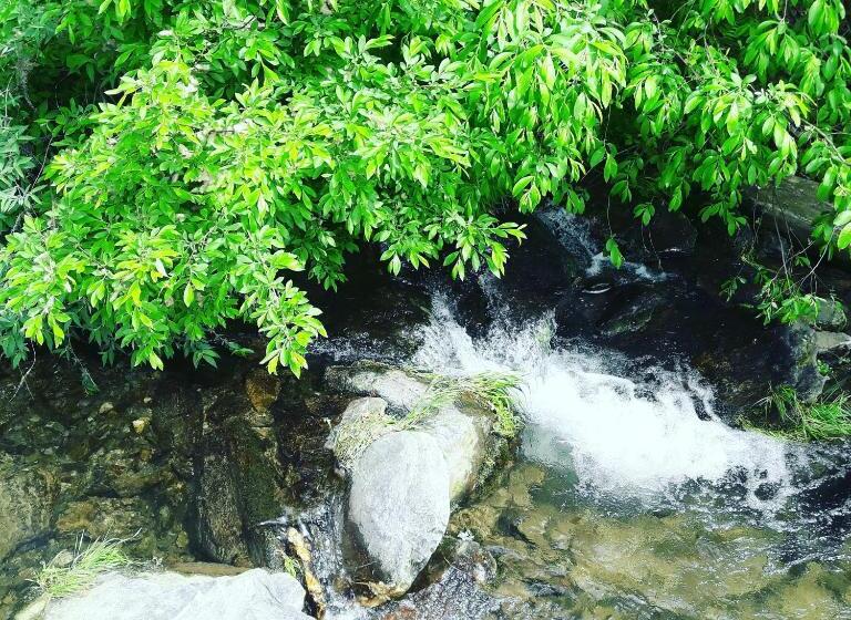 ホテル Agriturismo La Miniera