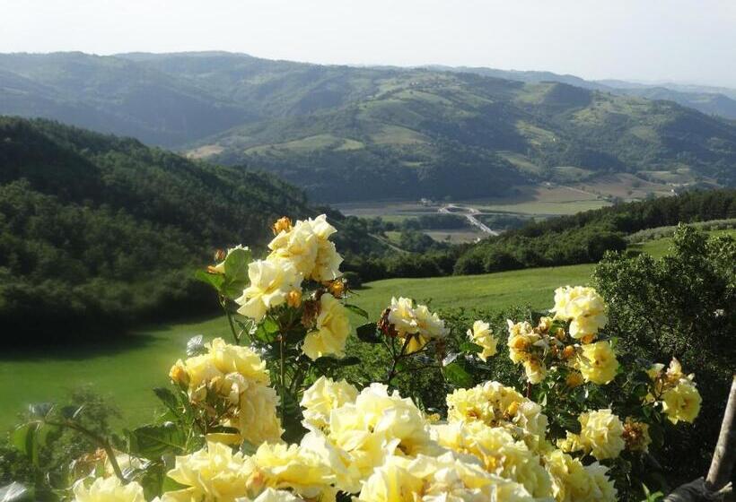 Отель Agriturismo La Terrazza