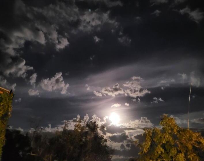 בית מלון כפרי Agriturismo L'antico Oliveto