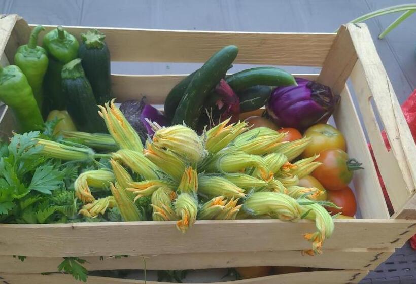 בית מלון כפרי Agriturismo L'antico Oliveto