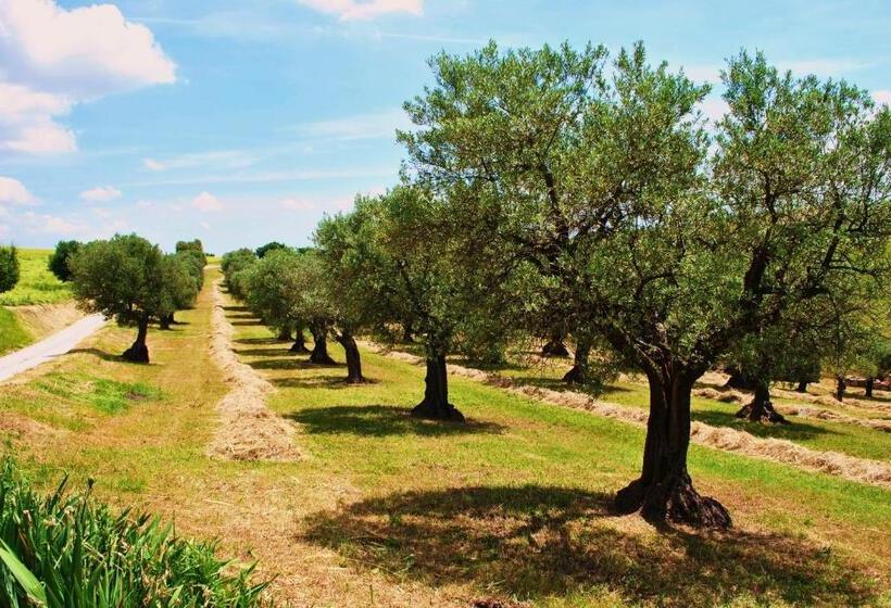 בית מלון כפרי Agriturismo L'antico Oliveto