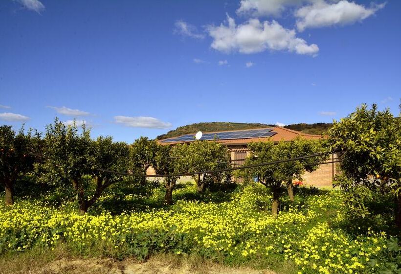 酒店 Agriturismo Le Terre Di Zoe
