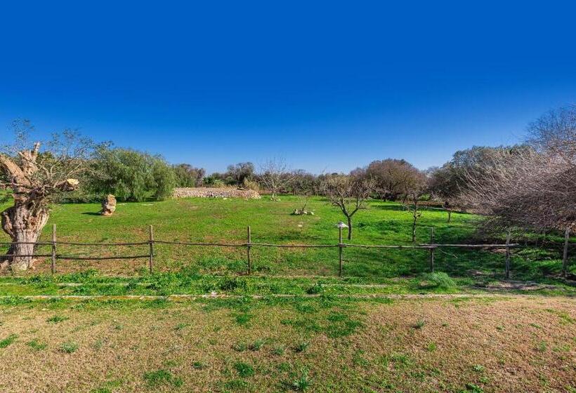호텔 Agriturismo Masseria Carrone