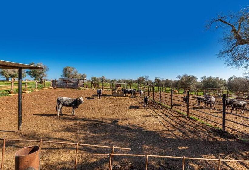 호텔 Agriturismo Masseria Carrone