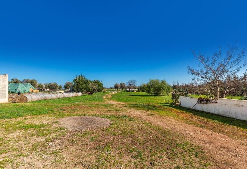 호텔 Agriturismo Masseria Carrone