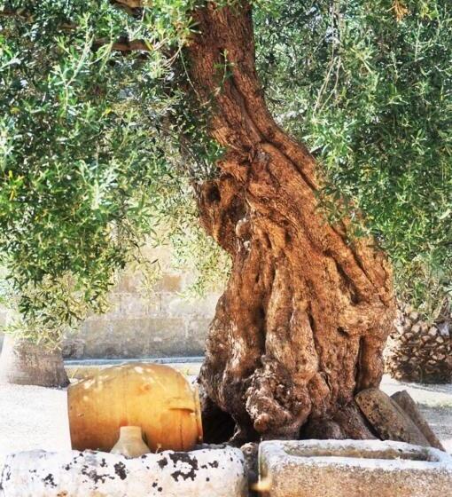 בית מלון כפרי Agriturismo Matine