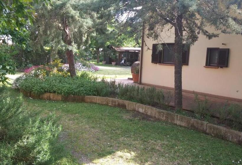 ホテル Agriturismo Pettinari