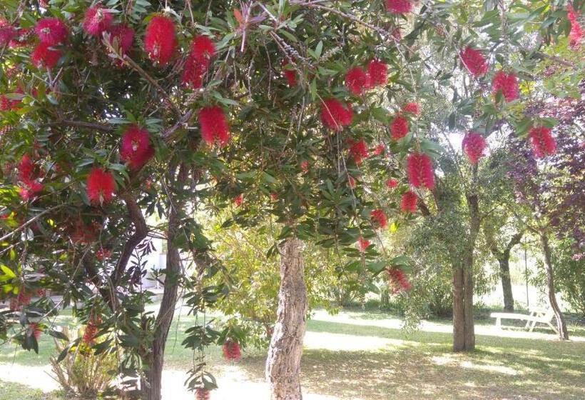 ホテル Agriturismo Pettinari