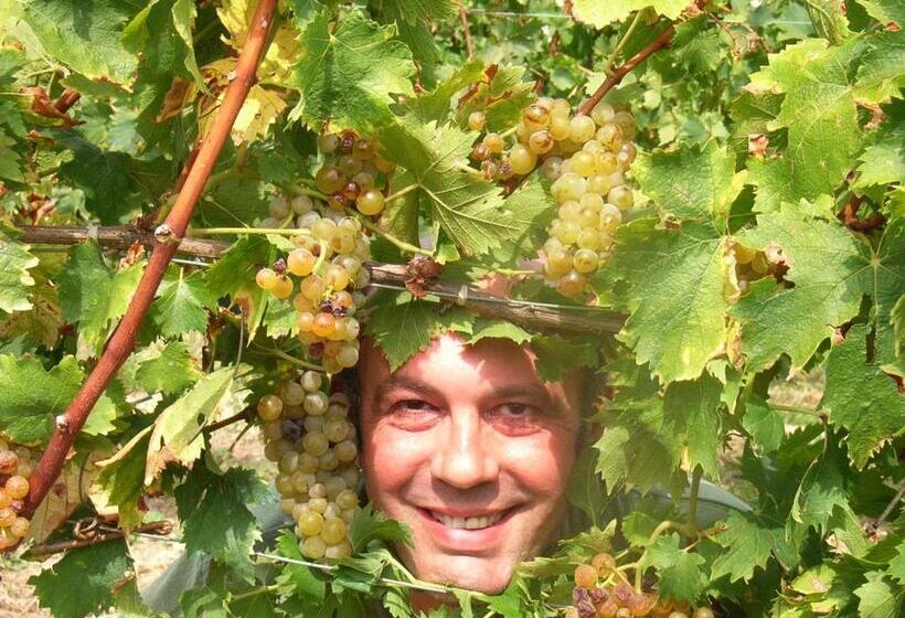 فندق Agriturismo Rupestr