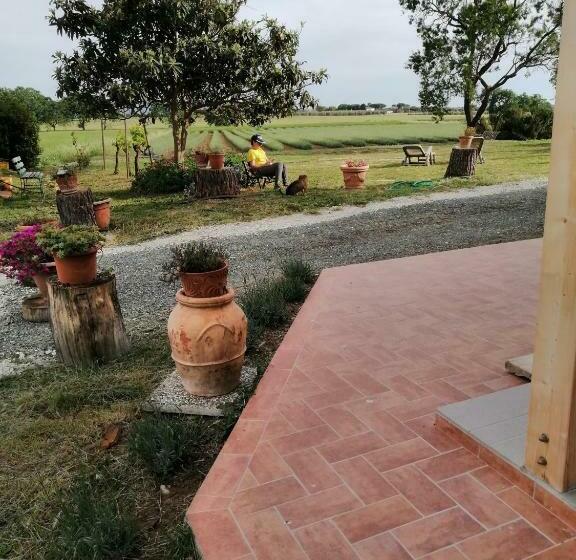 בית מלון כפרי Agriturismo Susanna E Atria