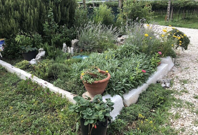 Отель Agriturismo Tre Forti