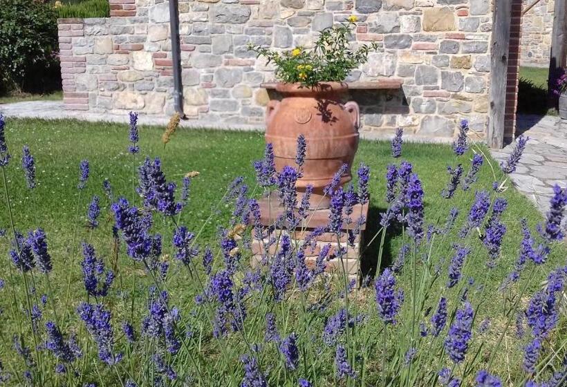 בית מלון כפרי Agriturismo Valiana