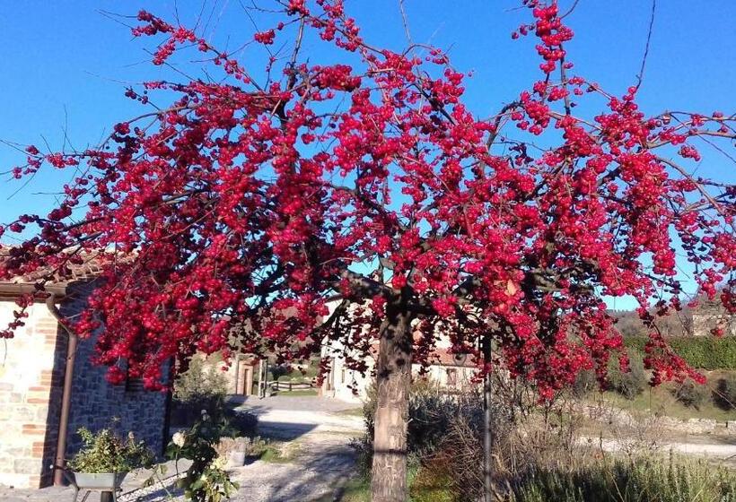 فندق Agriturismo Valiana