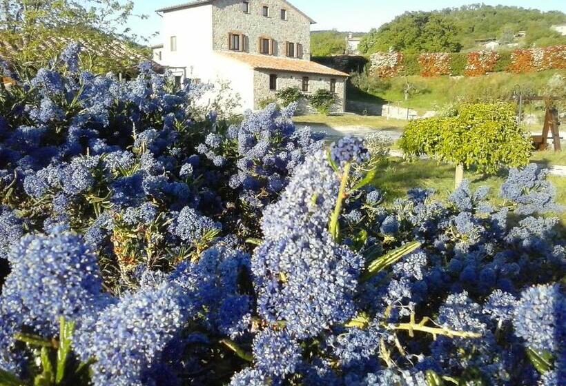 בית מלון כפרי Agriturismo Valiana