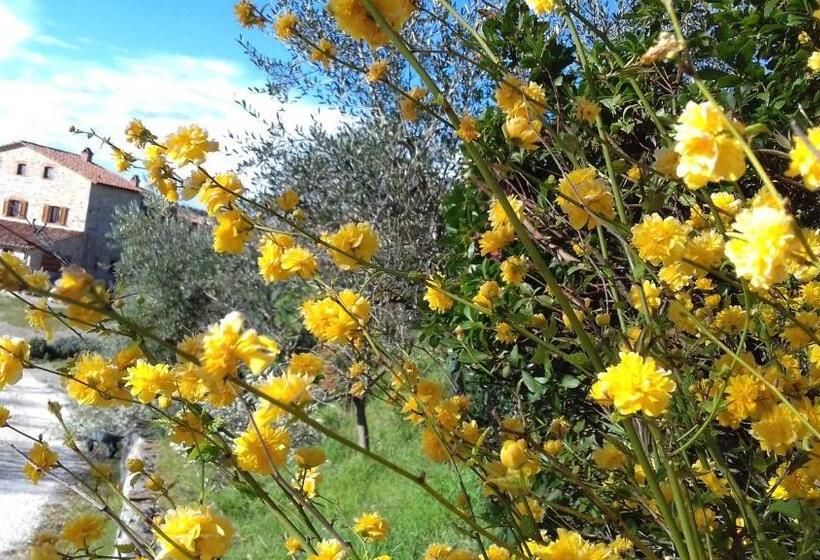 בית מלון כפרי Agriturismo Valiana