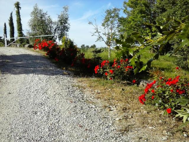 בית מלון כפרי Agriturismo Valiana