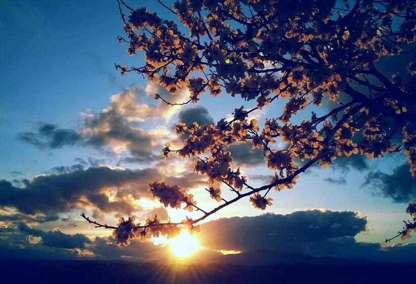 בית מלון כפרי Agriturismo Valiana