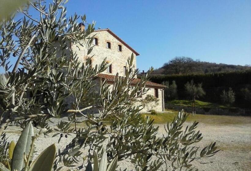 בית מלון כפרי Agriturismo Valiana