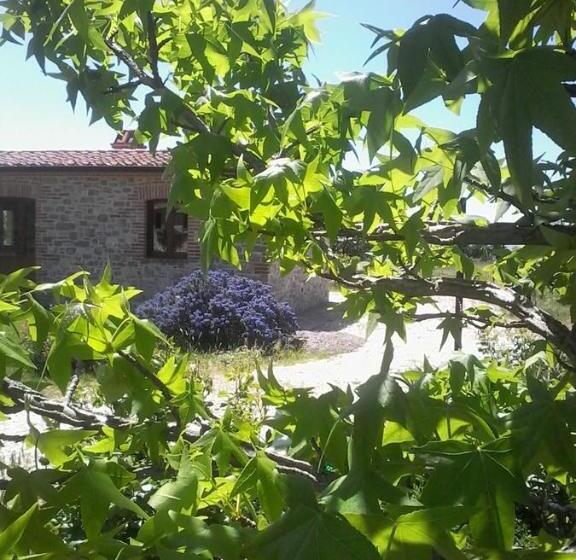 בית מלון כפרי Agriturismo Valiana