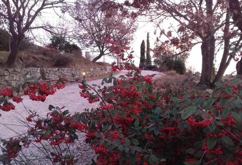 בית מלון כפרי Agriturismo Valiana