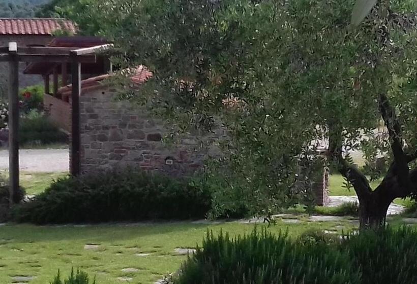 בית מלון כפרי Agriturismo Valiana