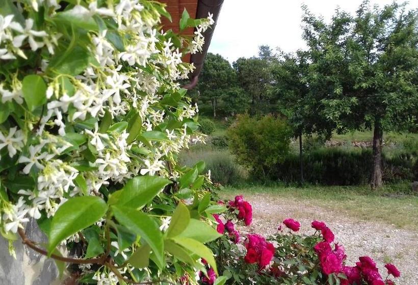 בית מלון כפרי Agriturismo Valiana