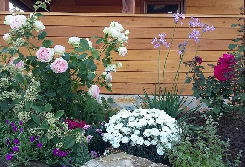 בית מלון כפרי Agriturismo Valiana