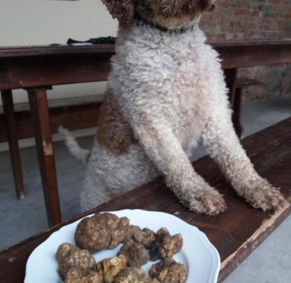 בית מלון כפרי Antica Grancia Benedettina