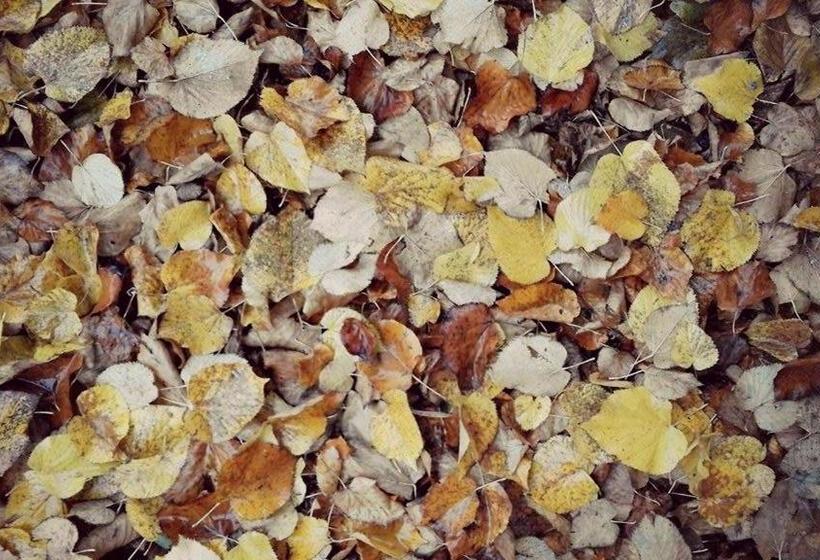 فندق Cascina Il Convivio