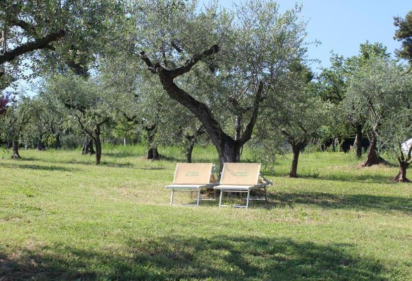 בית מלון כפרי Locanda Belvedere