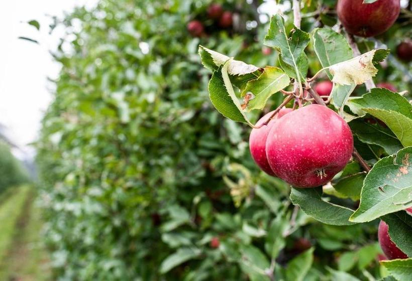 ホテル Agriturismo Al Luogo Del Giulio