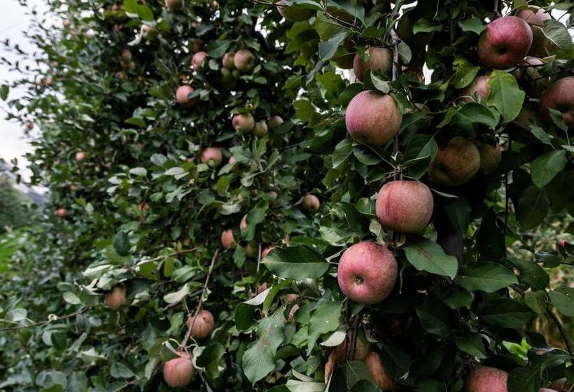 ホテル Agriturismo Al Luogo Del Giulio