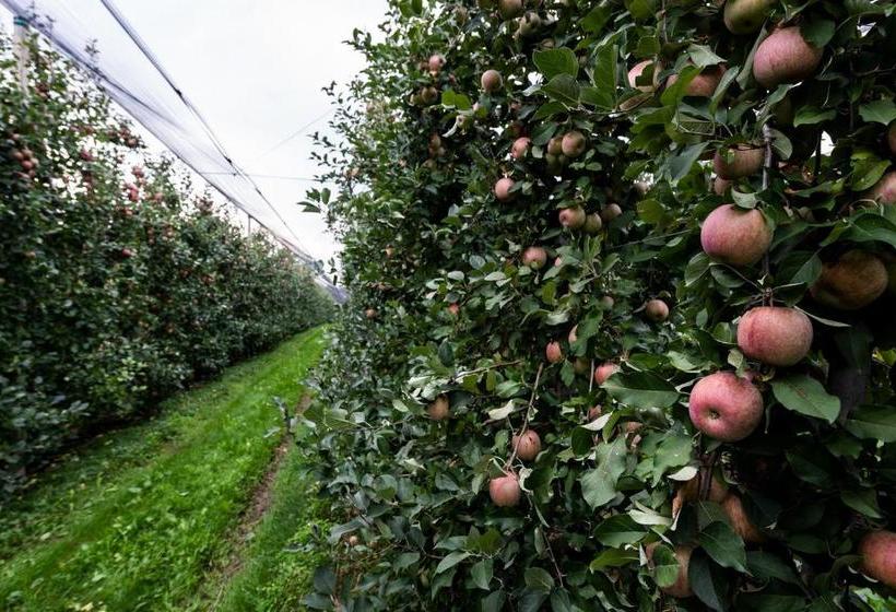 ホテル Agriturismo Al Luogo Del Giulio