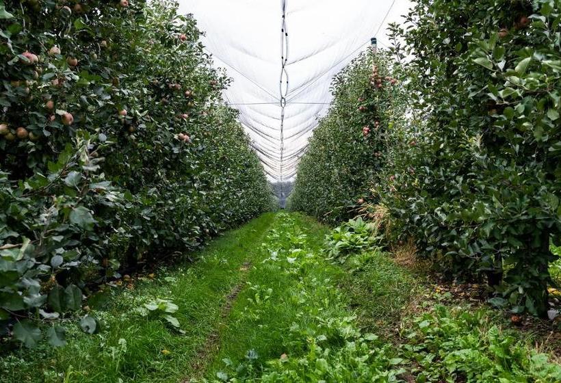 فندق Agriturismo Al Luogo Del Giulio