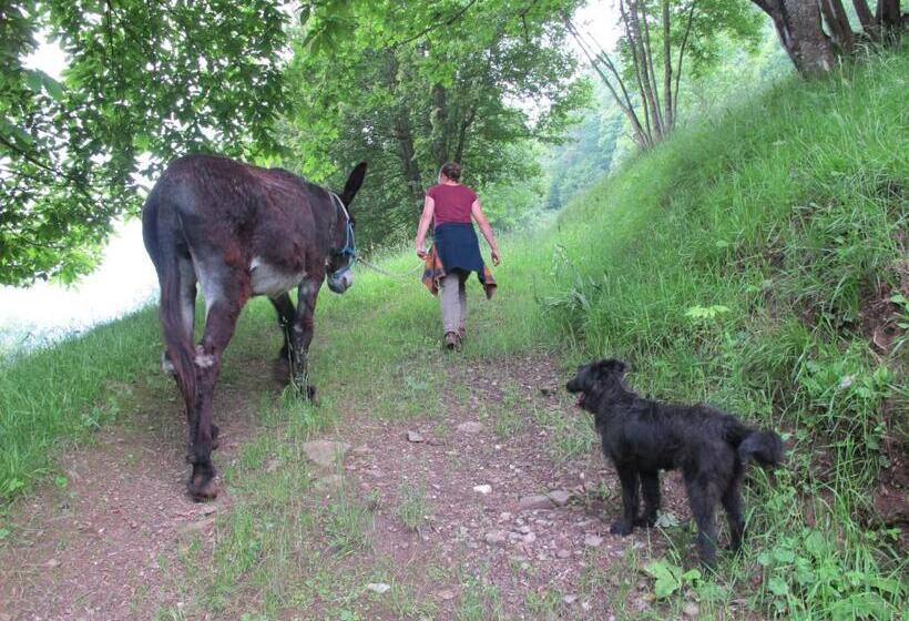 호텔 Meiro Di Choco