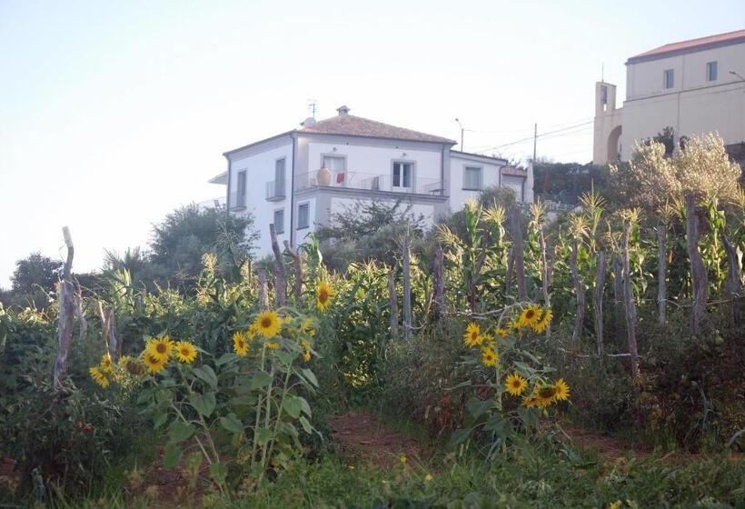 Отель Villa Cirimarco