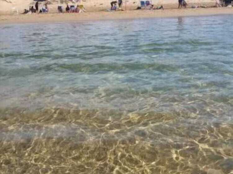 膳宿费 B&b Perla Di Corso Savoia