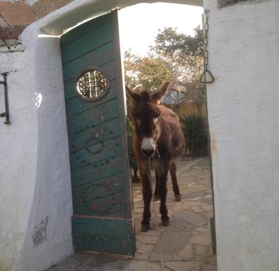 פנסיון Ca' La Somara