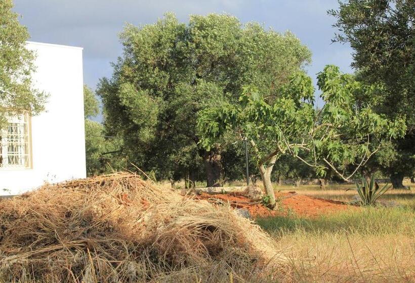 بنسيون Country Salenthouse