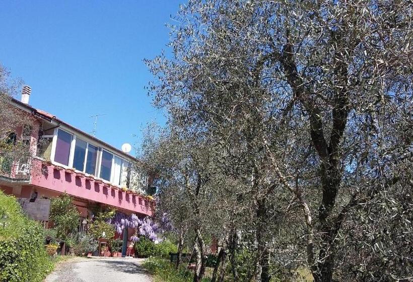 פנסיון La Casa Rosa